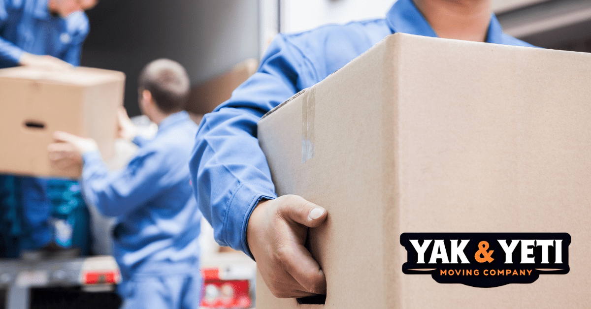 a person holding a box